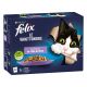 FELIX AGAIL GiJ MV Beef1 6(12x85g) IT