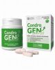 CONDROGEN&reg; ENERGY 30 cpr