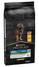 Purina Pro Plan Large Robust Puppy Sensitive Digestion Ricco In Agnello (12 kg)