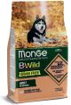 MONGE BW GF DOG SALM/PIS kg,2,5x4
