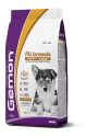 GEMON MEDIUM P&J pollo/riso kg.3x4