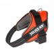  JULIUS-K9 POWERHARNESS PETTORINA ARANCIO FLUO 0 58-7