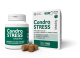 Condrostress® Mobility 90 soft chews