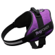  JULIUS K9 POWERHARNESS PETTORINA VIOLA 2 71 96CM 28 4