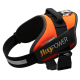  JULIUS-K9 POWERHARNESS PETTORINA ARANCIO FLUO MINIM