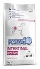 Forza 10 Intestinal Active   4 kg 