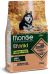 MONGE BW GF DOG SALM/PIS kg,2,5x4