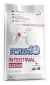 Forza 10 Intestinal Active   4 kg 